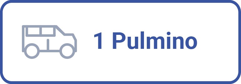 pulmino